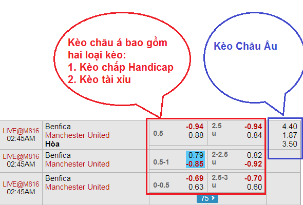 Giải đáp thắc mắc cược 1x2 là gì? Các kinh nghiệm cược đến từ chuyên gia định nghĩa về kèo châu Âu 1x2
