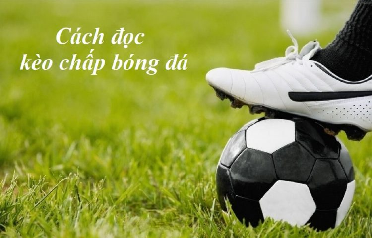 Chia sẻ cách đọc kèo bóng đá chính xác tuyệt đối Chia sẻ cách đọc kèo bóng đá chính xác tuyệt đối