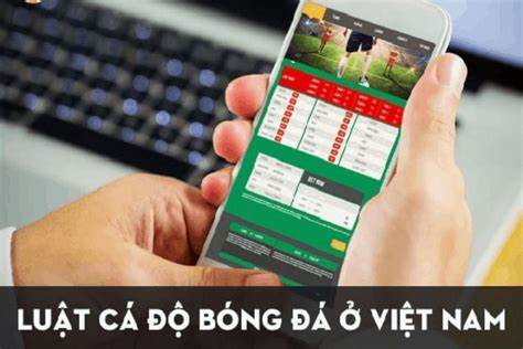 Luật cá độ bóng đá cơ bản mà bạn cần phải biết Luật cá độ bóng đá cơ bản mà bạn cần phải biết