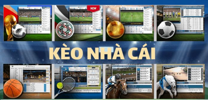 Tìm hiểu cách ra kèo của nhà cái chuẩn nhất Tìm hiểu cách ra kèo của nhà cái chuẩn nhất