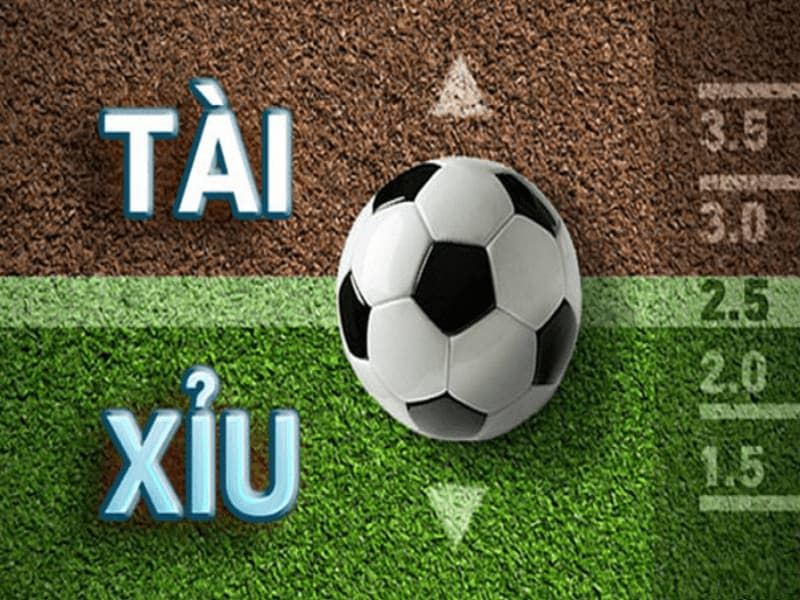 Cách đánh tài xỉu hiệp 1 cho anh em mới chơi hay nhất Cách đánh tài xỉu hiệp 1 cho anh em mới chơi hay nhất