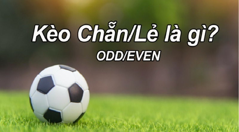 Cược chẵn lẻ là gì? Chia sẻ mẹo chơi kèo chẵn lẻ và kinh nghiệm cá cược bóng đá hay nhất Cược chẵn lẻ là gì? Chia sẻ mẹo chơi kèo chẵn lẻ và kinh nghiệm cá cược bóng đá hay nhất
