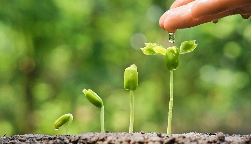 Số 10 Là Con Gì? Đánh Đâu Trúng Đó Với Thủ Thuật Đơn Giản so-10-la-con-gi