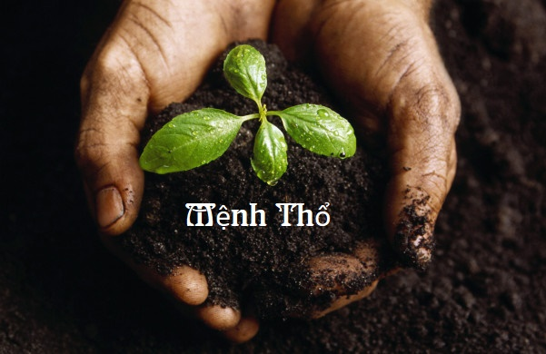 Số 8 Là Con Gì Trong Lô Đề? Đánh Đề Số 8 Có Dễ Trúng Không? so-8-la-con-gi