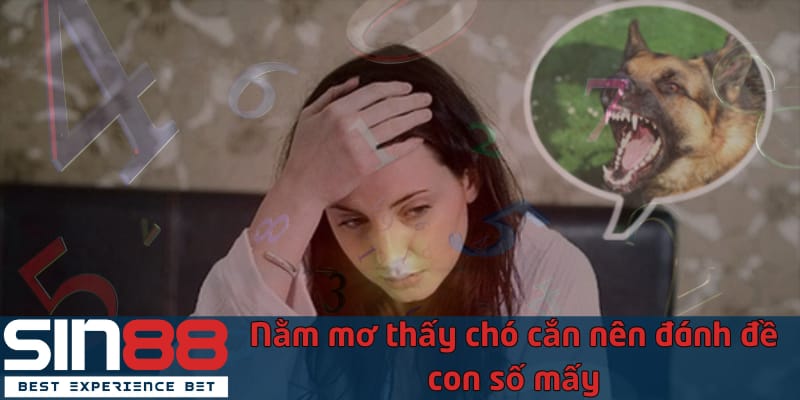 Nằm Mơ Thấy Chó Cắn Có Phải Là Điềm Xấu Và Đánh Số Mấy nam-mo-thay-cho-can-nen-danh-de-con-so-may
