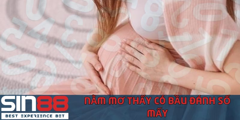 Nằm Mơ Thấy Có Bầu Đánh Số Mấy Để Trúng Thưởng nam-mo-thay-co-bau-thi-ban-nen-danh-so-may