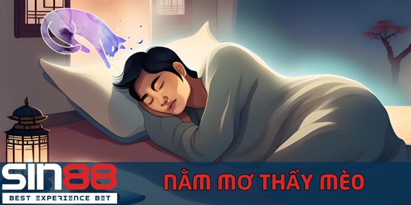 Giải Mã Việc Nằm Mơ Thấy Mèo Và Tổng Hợp Con Số Đề May Mắn nam-mo-thay-meo-mang-y-nghia-gi