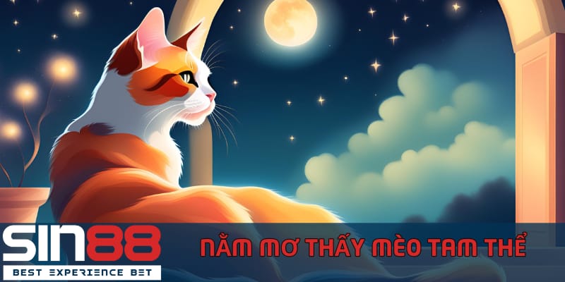 Giải Mã Việc Nằm Mơ Thấy Mèo Và Tổng Hợp Con Số Đề May Mắn nam-mo-thay-meo-theo-mau-sac-cua-bo-long