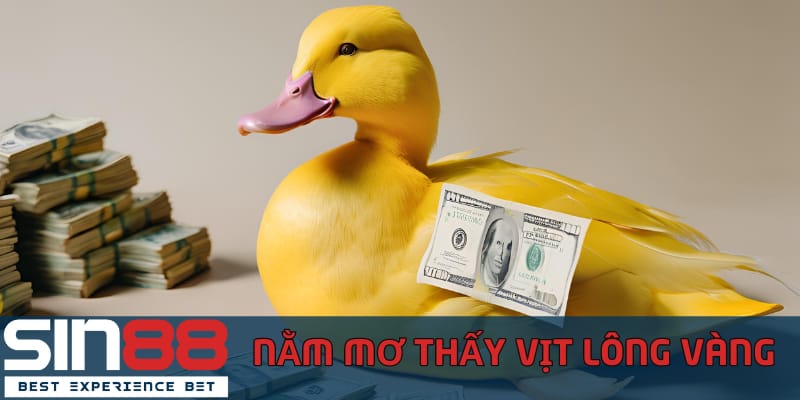 Chiêm Bao Nằm Mơ Thấy Vịt Có Ý Nghĩa Gì - Đánh Đề Con Gì nam-mo-thay-vit-long-vang