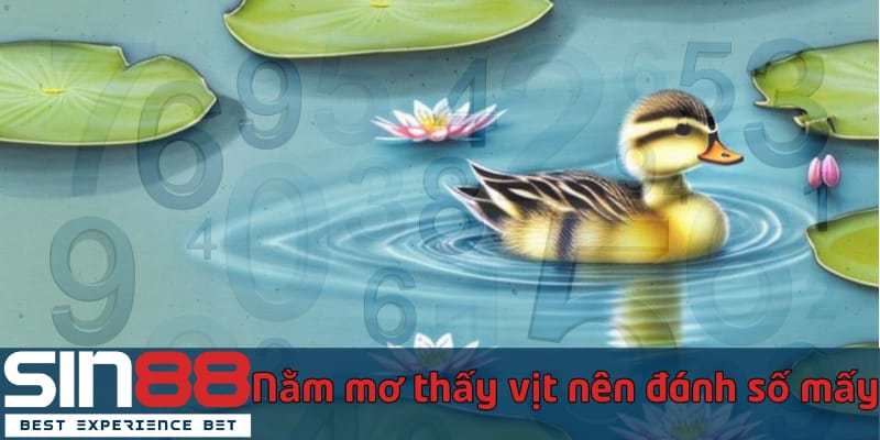 Chiêm Bao Nằm Mơ Thấy Vịt Có Ý Nghĩa Gì - Đánh Đề Con Gì nam-mo-thay-vit-nen-danh-so-may