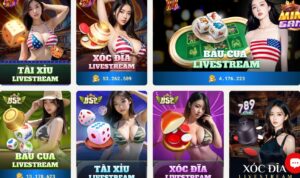 Cách chơi Bầu cua livestreams sin88