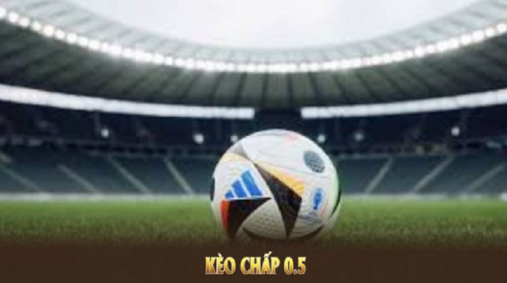 Cách đánh kèo chấp 0.5 sin88 