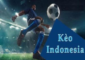 tỷ lệ indonesia