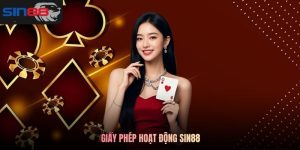 giấy phép hoạt động SIN88